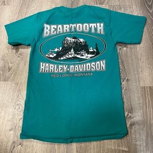 Harley-Davidson Teal Beartooth Graphic T-Shirt